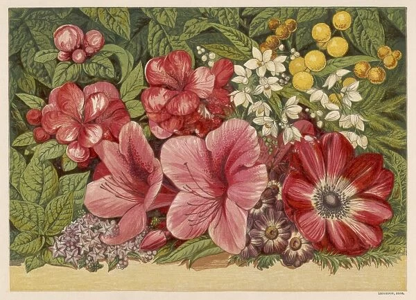 Spring Flowers 1866