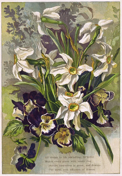 Spring Flowers C. 1870