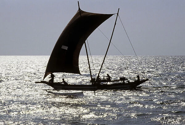 Sri Lankan outrigger boats - 4