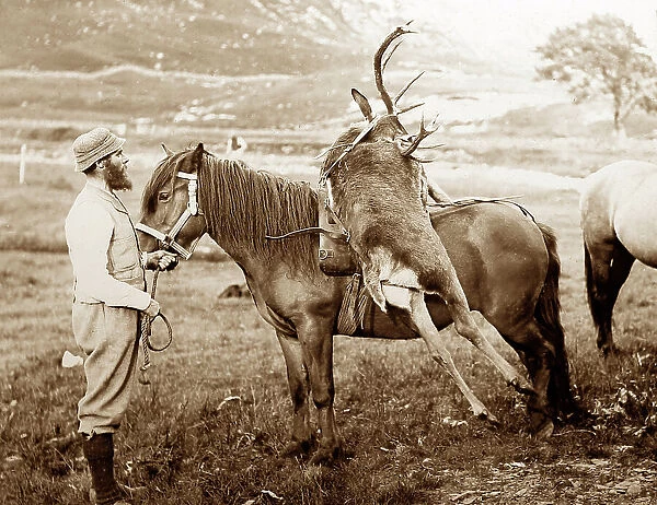 Stag hunting in Scotland, Victorian period