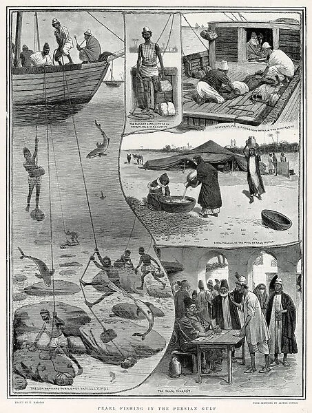 Stages of the pearl fishery industry in the Persian Gulf. Date: 1902
