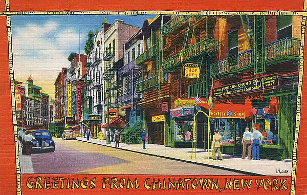 Street in Chinatown, New York City, USA