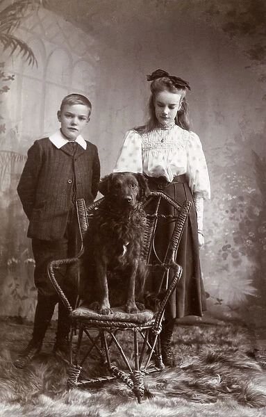 Studio portrait, boy and girl with large dog