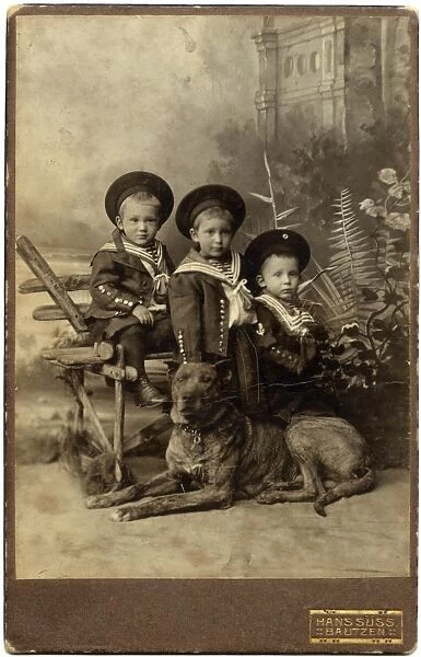 Studio portrait, three boys with dog