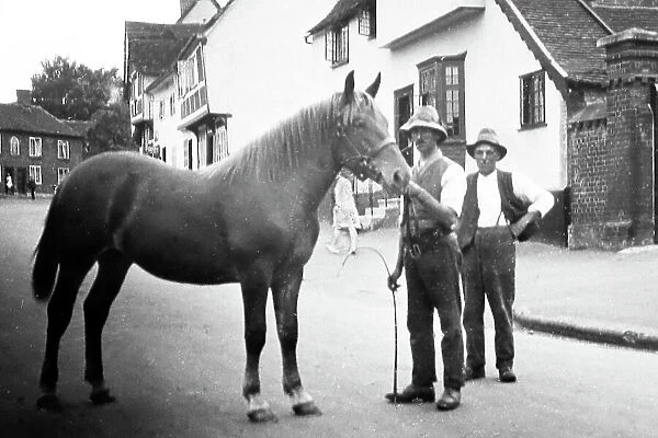 A Suffolk Punch, early 1900s