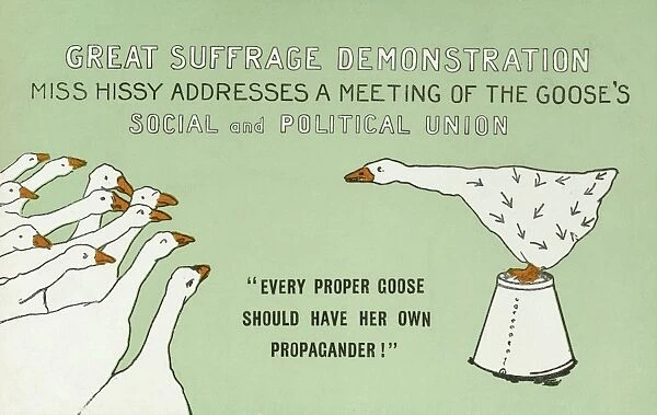 Suffragette as a goose