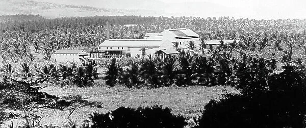 Sugar factory, St. Mary, Jamaica, early 1900s