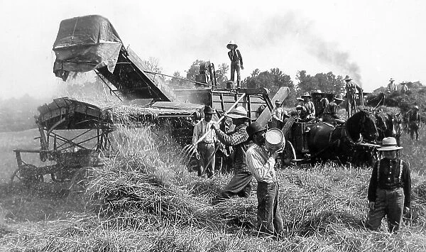 Threshing wheat in Illinois USA early 1900s
