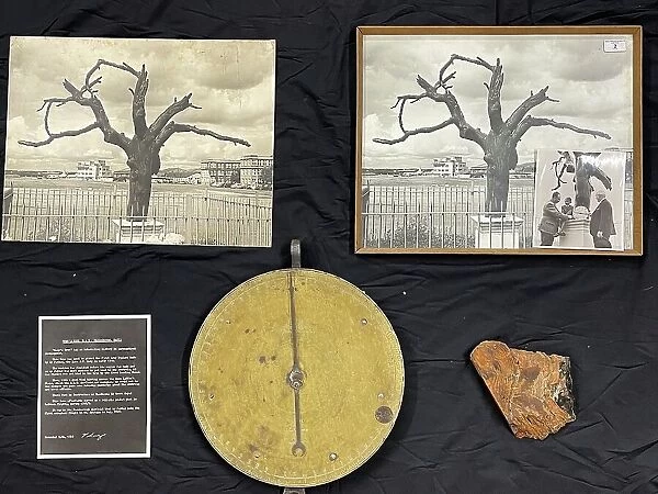 Tree and spring balance brass dial, Samuel Cody Archive