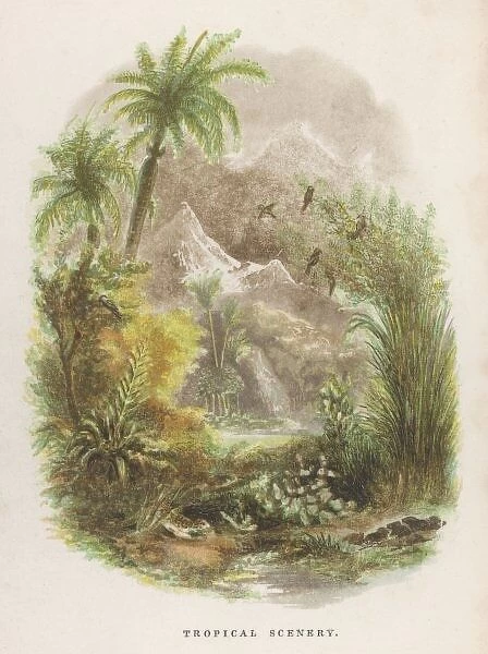 Tropical Scenery 1835
