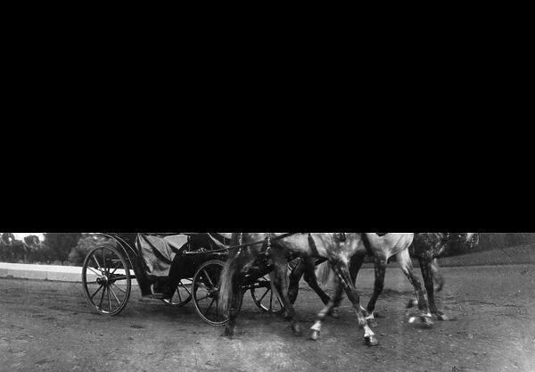 Tsar Nicholas II in a Horse-Drawn Carriage