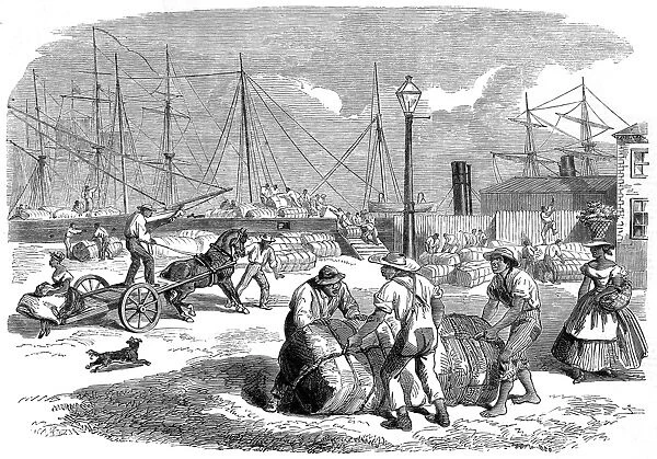 Unloading Cotton at Nassa, New Providence, 1864