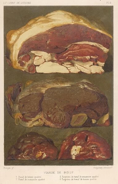 Various Cuts of Beef