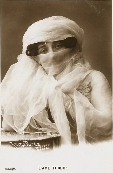 Veiled Egyptian Beauty