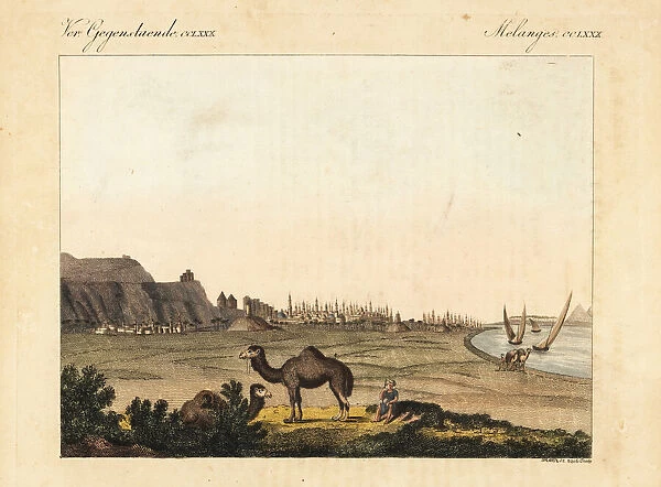 View of the city of Cairo, Egypt, with its