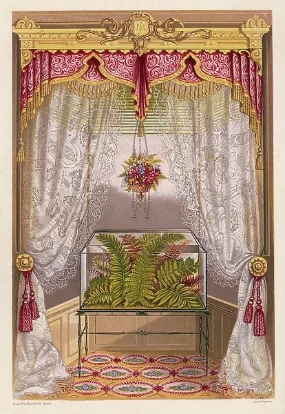 Wardian case containing ferns, in a window