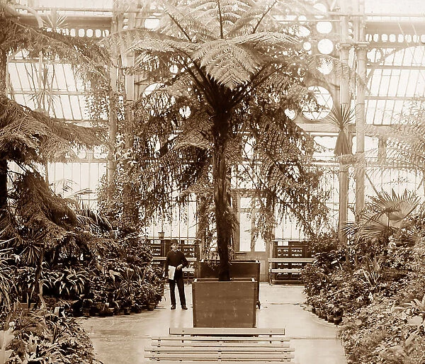 Winter Gardens Conservatory, Southport, Victorian period