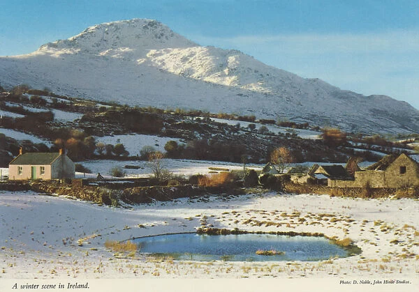 A Winter Scene in Cooley Mountains