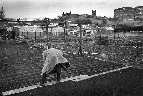Woman on allotment - 2