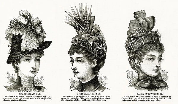 Women wearing victorain headwear 1886