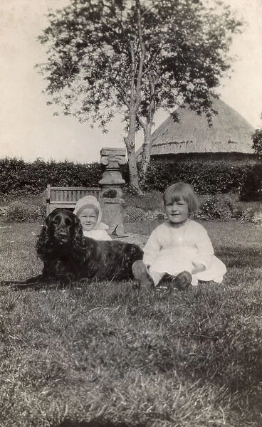 Two young children with a spaniel dog in a garden
