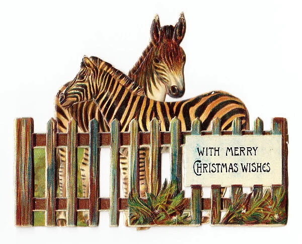 Two zebra on a cutout Christmas card