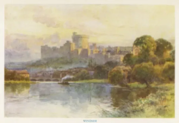Buy WINDSOR (HASLEHUST)