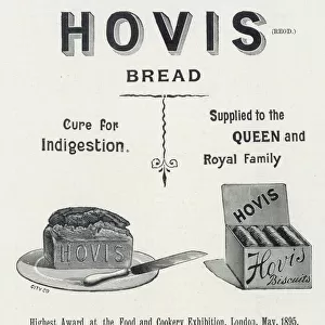Advert / Bread / Hovis 1895