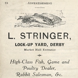 Advertisement for L Stringer, fish, game and poultry dealer