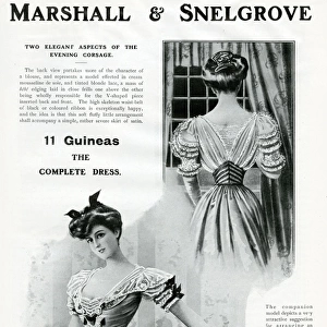 Advert for Marshall & Snelgrove womens clothing 1906