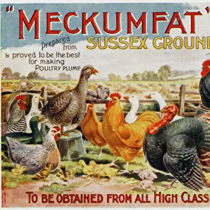 Advertisement for Meckumfat Sussex Ground Oats