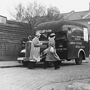 Animal ambulance workers WWII