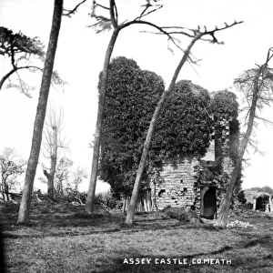 Assey Castle, Co. Meath