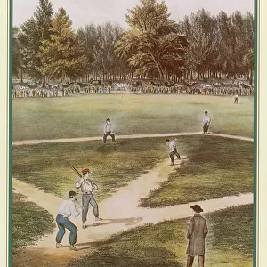 Baseball in a Field
