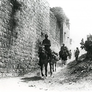 Battle of Megiddo, near Anebta, Middle East, WW1