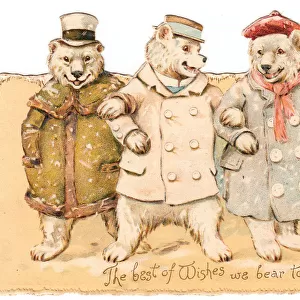 Three bears in the snow on a Christmas card