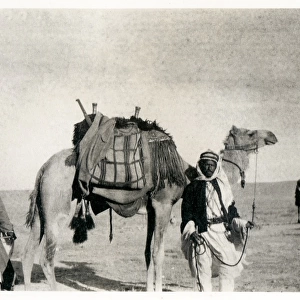 Two Bedouin men with a camel, Middle East