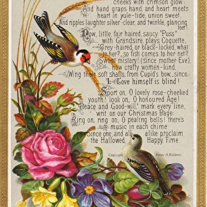 Birds and flowers on a Christmas card