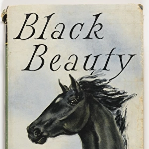 Black Beauty 1957