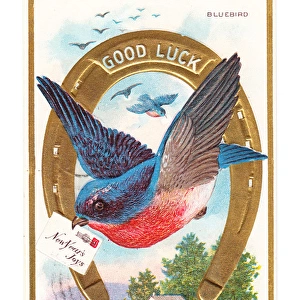 Bluebird and horseshoe on a Good Luck New Year postcard