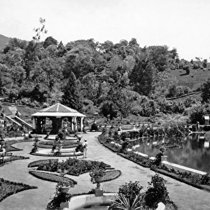 Botanical Gardens, Ootacamund, Tamil Nadu, India
