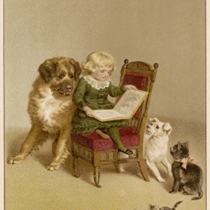 Boy with Dogs & Cats