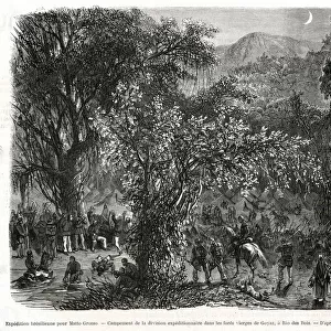 Brazilian expedition in the Forests of Goias