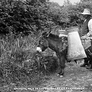 Bringing Milk to the Creamery, Co Fermanagh