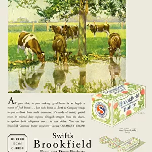 Brookfield butter