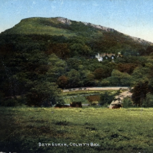 Bryn Euryn, Colwyn Bay, Conwy - Clwyd