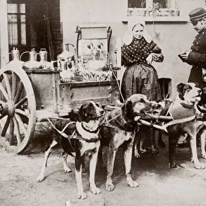 c. 1890 Belgium - milk maid, dog cart, policeman