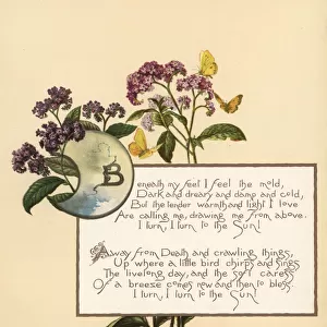Calligraphic poem in box with flowers and butterflies