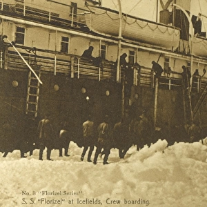 Canada - Newfoundland -ss Florizel at Icefields