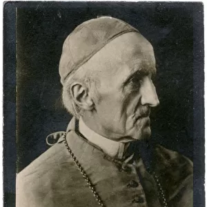 Cardinal Manning, Roman Catholic priest and author